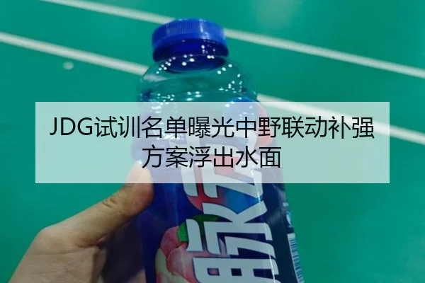 JDG试训名单曝光中野联动补强方案浮出水面